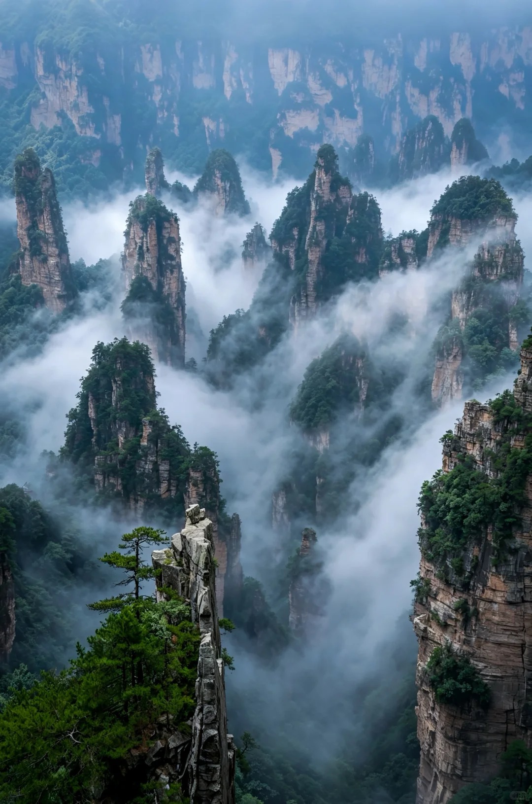 Mist drifting among Zhangjiajie's sandstone pillars